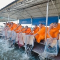 ปล่อยปลา 300 กิโลกรัม ครั้งที่ 121 น้อมบูชาธรรมมหาปูชนียาจารย์