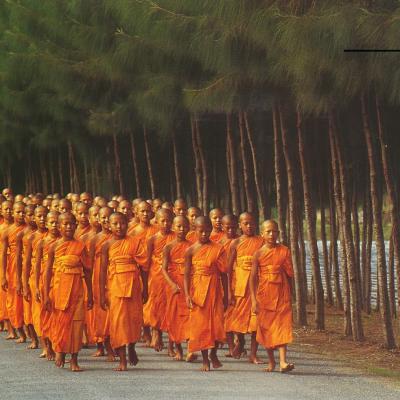 Little Monk2