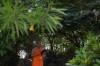 S__104611854.jpg