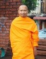 พระมหานพดล เตชชโย